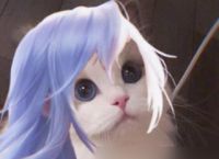 王者荣耀猫咪刺客头像大全