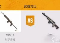 《和平精英》sks和mini14性能比较
