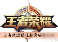 王者荣耀猫咪刺客头像大全