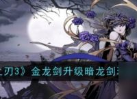 《影之刃3》金龙剑进阶指南从金龙剑到暗龙剑的华丽蜕变