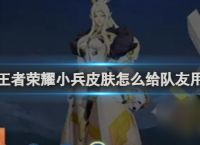 王者荣耀小兵皮肤给队友用方法介绍