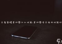王者荣耀关羽带什么技能 关羽带啥召唤师技能好