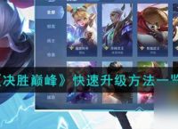 决胜巅峰怎么快速升级 决胜巅峰快速升级方法介绍