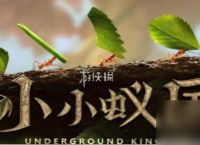 小小蚁国蚁后升级仓库前置条件介绍