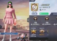 和平精英口令码介绍