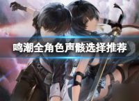 鸣潮全角色声骸搭配怎么选择