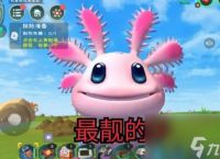 创造与魔法顽皮蝾螈怎么捕捉-创造与魔法顽皮蝾螈捕捉方法攻略