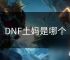 DNF土妈是哪个