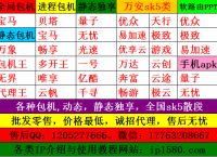 各种IP诚招代理.动态.静态.sk5.包机.价格全网最低.24小时售后（附各类IP注册连接）