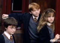 《哈利波特》中霍格沃兹教授们布置的魔法石守卫魔法，真能让一年级学生轻松闯过去吗？你怎么看？