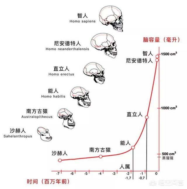 巴拿马猴已经进入石器时代，它们未来会威胁到人类吗？